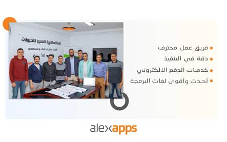 شركات البرمجة في مصر
